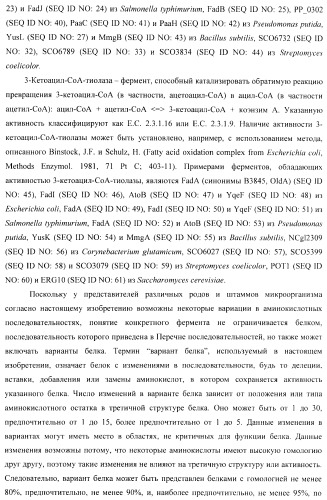 Бактерия - продуцент 1-бутанола и способ получения 1-бутанола (патент 2431672)