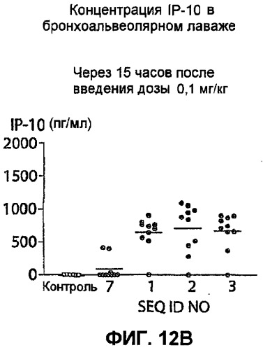 Полумягкие иммуностимулирующие олигонуклеотиды с-класса (патент 2393223)