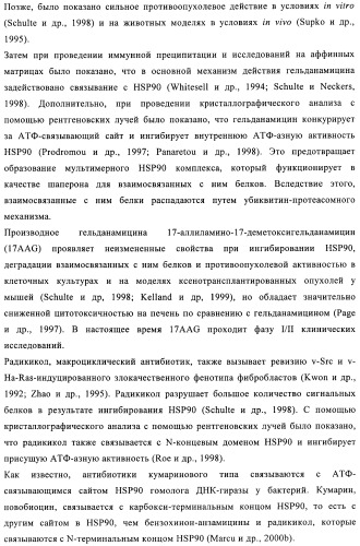 Производные 2-амино-4-фенилхиназолина и их применение в качестве hsp90 модуляторов (патент 2421449)