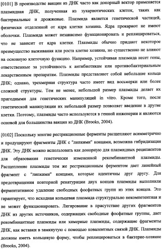 Иммуногенная композиция и способ разработки вакцины, основанной на участках связывания фактора н (патент 2364413)