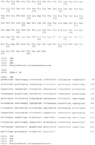 Pscaxcd3, cd19xcd3, c-metxcd3, эндосиалинxcd3, epcamxcd3, igf-1rxcd3 или fap-альфаxcd3 биспецифическое одноцепочечное антитело с межвидовой специфичностью (патент 2547600)