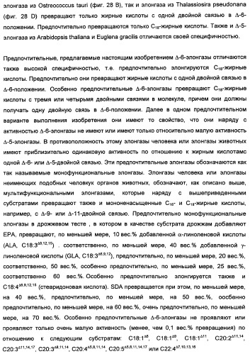 Способ получения полиненасыщенных кислот жирного ряда в трансгенных организмах (патент 2447147)