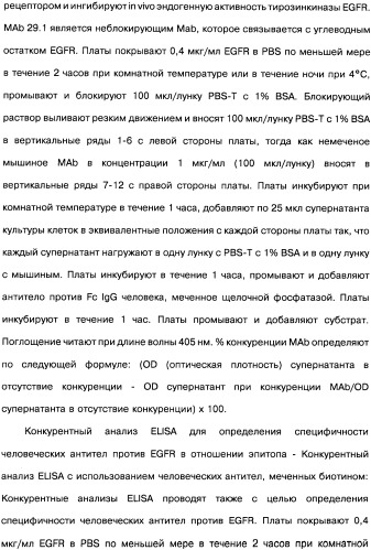 Человеческие моноклональные антитела к рецептору эпидермального фактора роста (egfr), способ их получения и их использование, гибридома, трансфектома, трансгенное животное, экспрессионный вектор (патент 2335507)