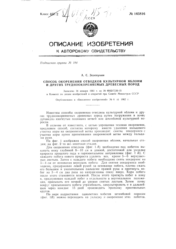 Способ укоренения отводков культурной яблони и других трудноукореняемых древесных пород (патент 145816)