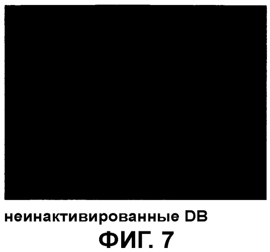 Композиция, содержащая частицы hcmv (патент 2505314)