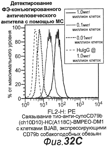 Анти-cd79b антитела и иммуноконъюгаты и способы их применения (патент 2511410)