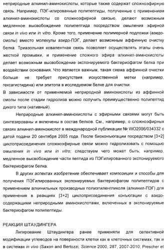 Селективная посттрансляционная модификация экспонируемых фагами полипептидов (патент 2459866)