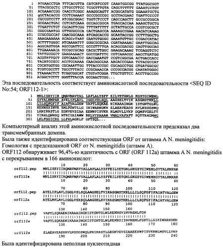 Антигены neisseria meningitidis (патент 2343159)