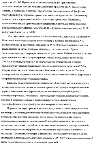 Способ лечения рака у человека (варианты), применяемая в способе форма (варианты) и применение антитела (варианты) (патент 2430739)