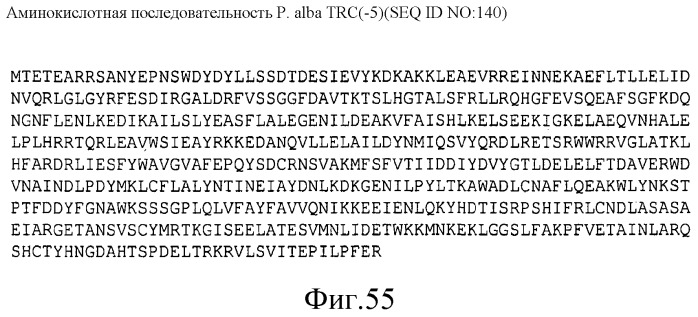 Варианты изопренсинтазы, применяемые для улучшения продуцирования изопрена микроорганизмами (патент 2516343)