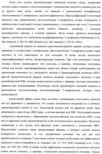Идентификация опухолевых антигенов для диагностики и терапии (патент 2485974)