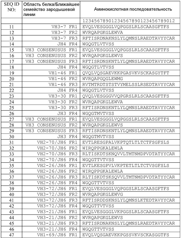 Терапевтические dll4-связывающие белки (патент 2605928)