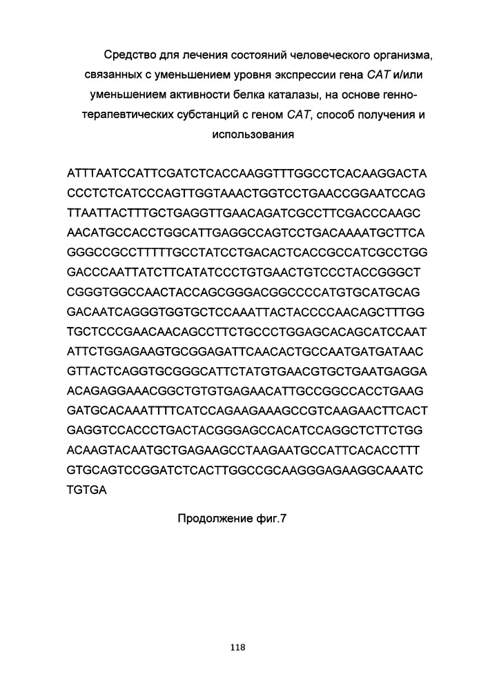 Средство для лечения состояний человеческого организма, связанных с уменьшением уровня экспрессии гена сат и/или уменьшением активности белка каталазы на основе генно-терапевтических субстанций с геном сат, способ получения и использования (патент 2649814)