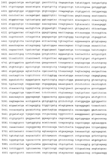 Применение s1p (патент 2362565)