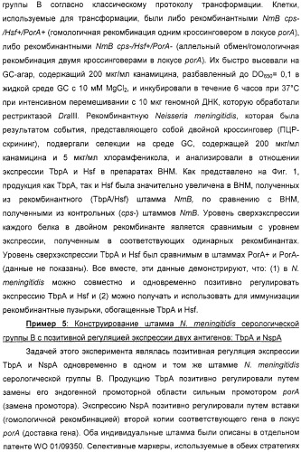 Нейссериальные вакцинные композиции, содержащие комбинацию антигенов (патент 2317106)