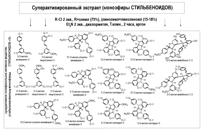 Композиции производных стильбеновых полифенолов и их применение для борьбы с патологиями и со старением живых организмов (патент 2491063)