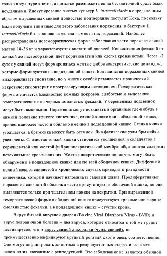 Поливалентные иммуногенные композиции pcv2 и способы получения таких композиций (патент 2488407)