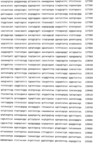 Бактериофаг, обладающий активностью против pseudomonas aeruginosa, белки бактериофага и способы их применения (патент 2580248)