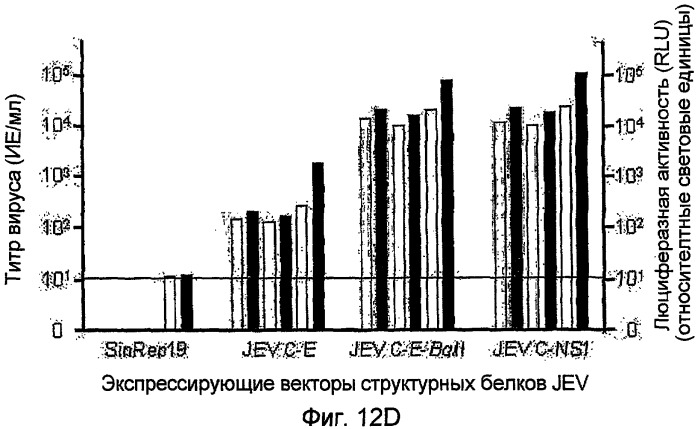 Новая полноразмерная геномная phk вируса японского энцефалита, полученная из нее инфекционная кднк jev и их применение (патент 2307872)