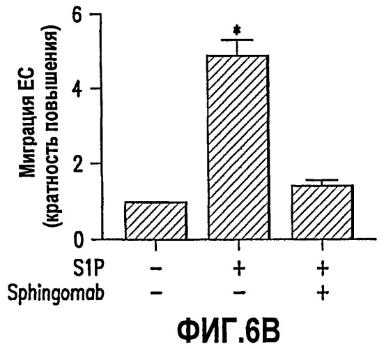 Композиции и способы связывания сфингозин-1-фосфата (патент 2460541)