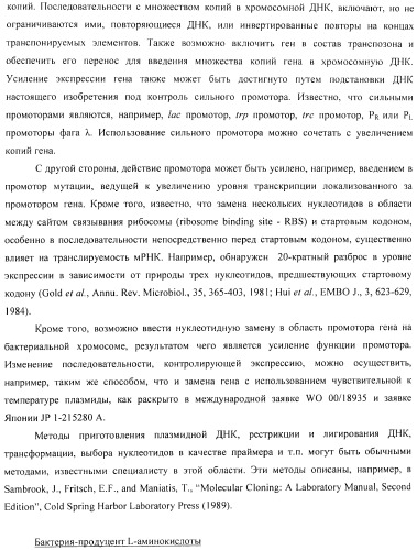 Способ получения l-аминокислоты с использованием бактерии, принадлежащей к роду escherichia (патент 2395579)