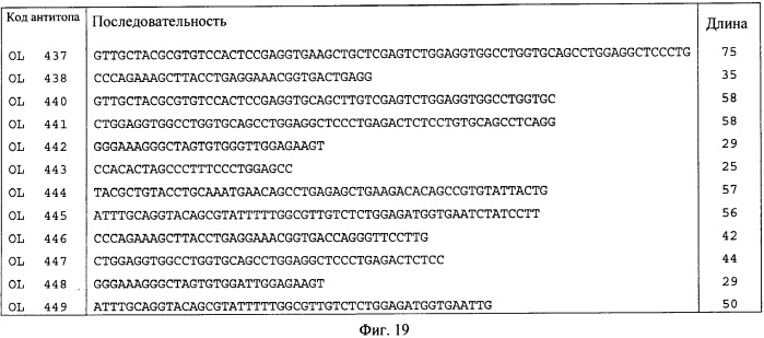 Химерные и гуманизированные антитела к cd44, которые опосредствуют цитотоксичность в отношении раковых клеток (патент 2487723)