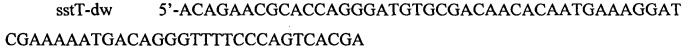 Рекомбинантный штамм escherichia coli-продуцент l-треонина (патент 2546237)
