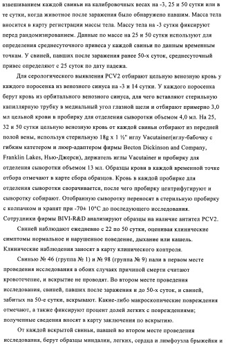 Поливалентные иммуногенные композиции pcv2 и способы получения таких композиций (патент 2488407)