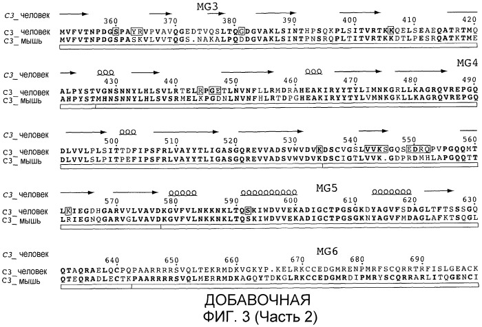 Антитела против c3b и способы профилактики и лечения связанных с комплементом нарушений (патент 2473563)