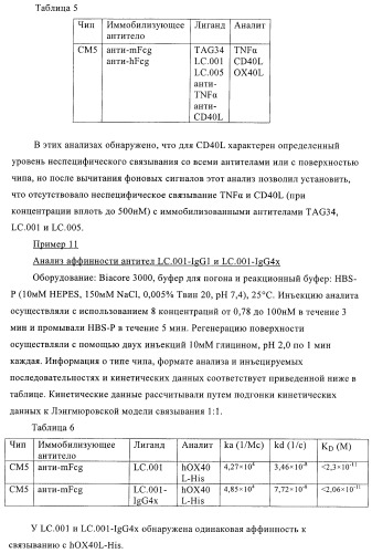Антитела к ох40l (патент 2395523)