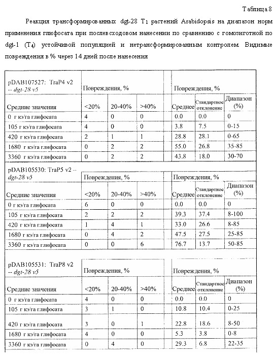 Синтетические транзитные пептиды хлоропласта из brassica (патент 2636035)
