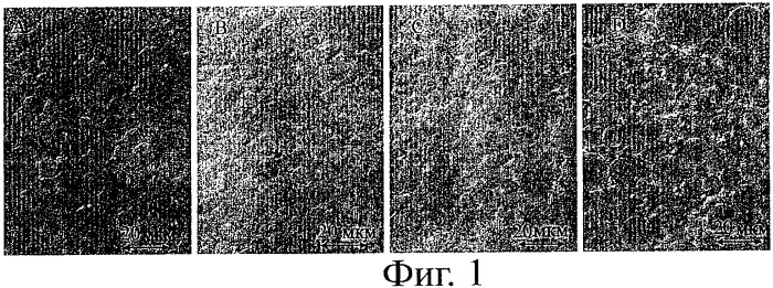 Стабильные двойные эмульсии (патент 2480018)