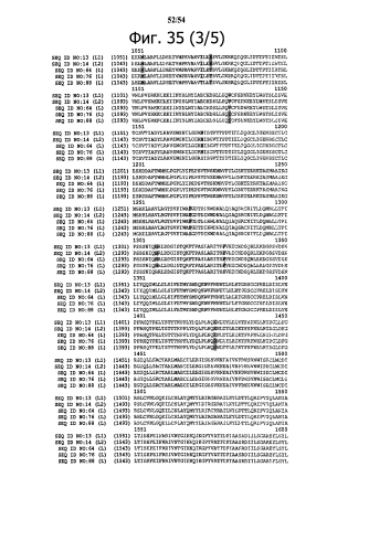 Способ получения рекомбинантного вирусного вектора apmv-8 (патент 2592544)