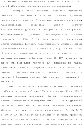 Антитела против вируса гепатита с (патент 2462475)