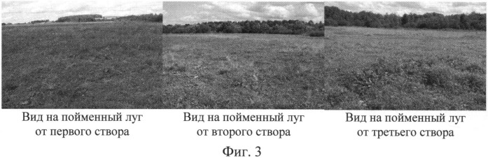 Способ биохимического анализа проб травы на пойменном лугу малой реки (патент 2536057)