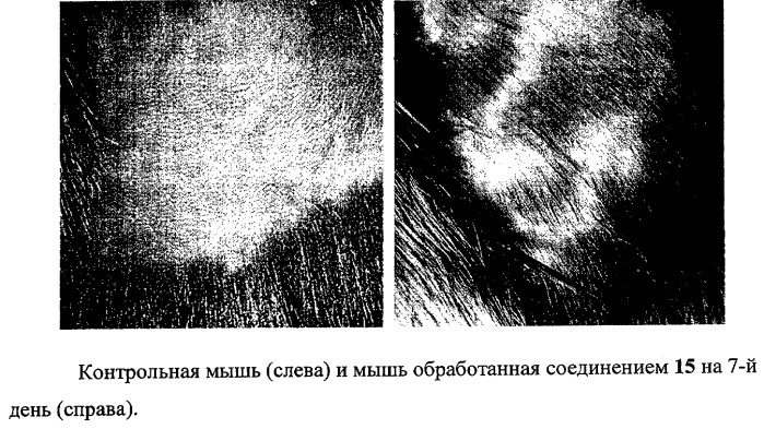 Стимулятор роста волос на основе производных пантотеновой кислоты (патент 2295949)