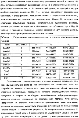 Способы лечения мочеполовых-неврологических расстройств с использованием модифицированных клостридиальных токсинов (патент 2491086)