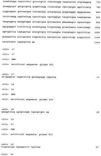Способ получения l-треонина с использованием бактерии, принадлежащей к роду escherichia, в которой инактивирован ген fhua (патент 2333955)