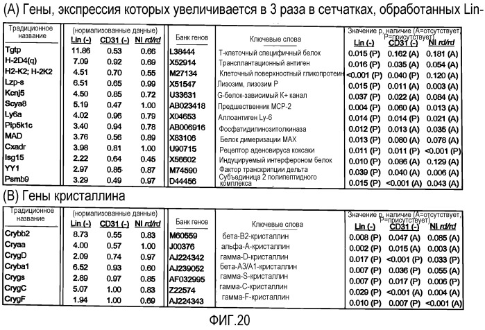 Выделенные популяции миелоподобных клеток и способы лечения с использованием таких популяций (патент 2473686)