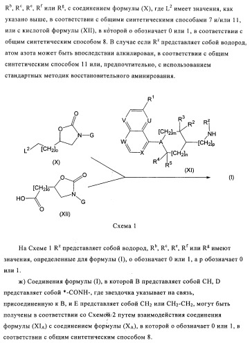 Оксазолидиновые антибиотики (патент 2470022)