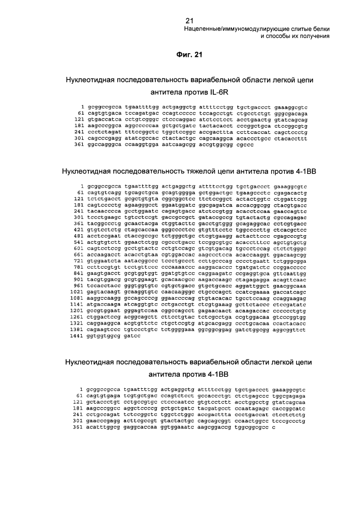 Нацеленные/иммуномодулирующие слитые белки и способы их получения (патент 2636342)