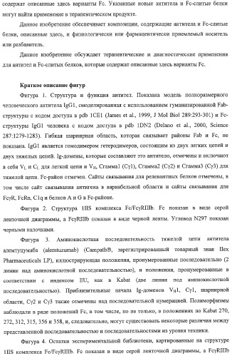 Антитело, содержащее fc-вариантную часть (варианты), фармацевтическая композиция, содержащая антитело, и способ лечения млекопитающего (патент 2325186)