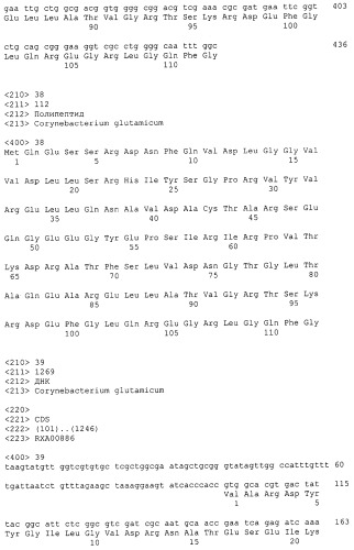 Гены corynebacterium glutamicum, кодирующие белки резистентности и толерантности к стрессам (патент 2303635)