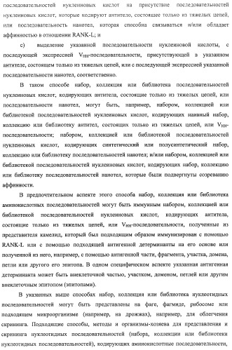 Аминокислотные последовательности, направленные на rank-l, и полипептиды, включающие их, для лечения заболеваний и нарушений костей (патент 2481355)