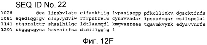 Применение рам (патент 2345785)