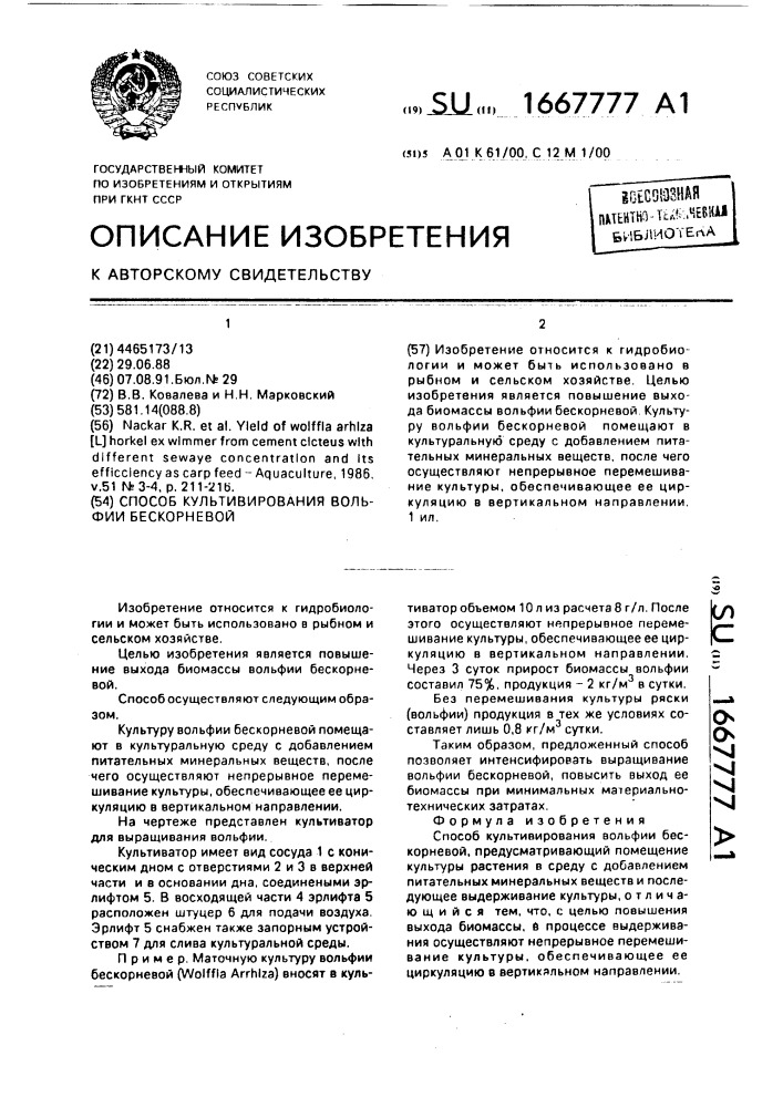 Способ культивирования вольфии бескорневой (патент 1667777)