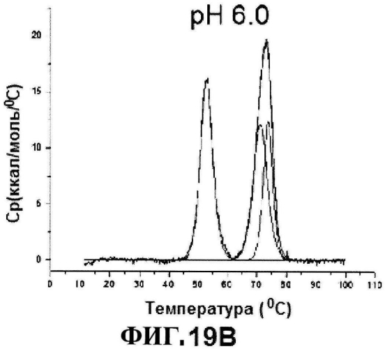 Стабильные иммуногенные композиции антигенов staphylococcus aureus (патент 2570730)