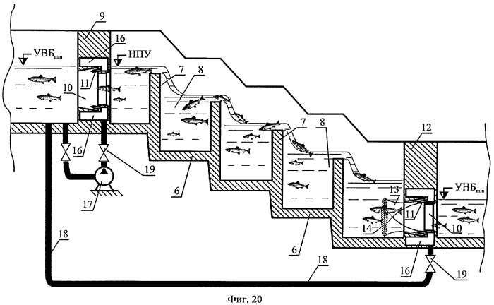 Способ пропуска рыб через рыбоход из нижнего бьефа гидроузла в верхний бьеф (варианты) (патент 2377365)