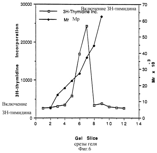 Тромбопоэтин (патент 2245365)