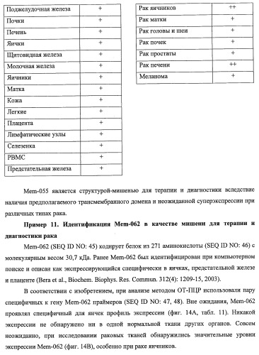 Идентификация опухолевых антигенов для диагностики и терапии (патент 2485974)